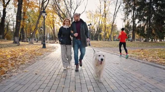 人和动物的概念。年轻快乐的爱心男女在秋季城市公园与拉布拉多狗同行