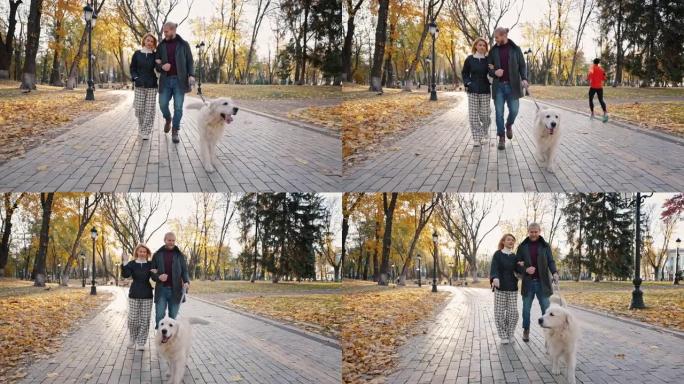 人和动物的概念。年轻快乐的爱心男女在秋季城市公园与拉布拉多狗同行