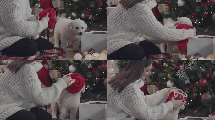 年轻女子坐在圣诞树旁，穿着圣诞老人服装打扮她的狗