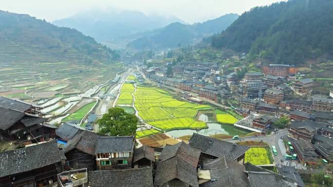 西江苗寨油菜花航拍