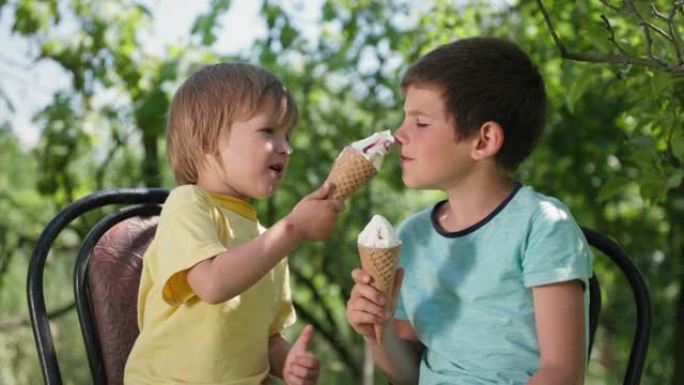 无忧无虑的童年，可爱的兄弟在炎热的天气里吃凉爽的冰淇淋，在暑假里用甜蜜的甜点互相摩擦鼻子