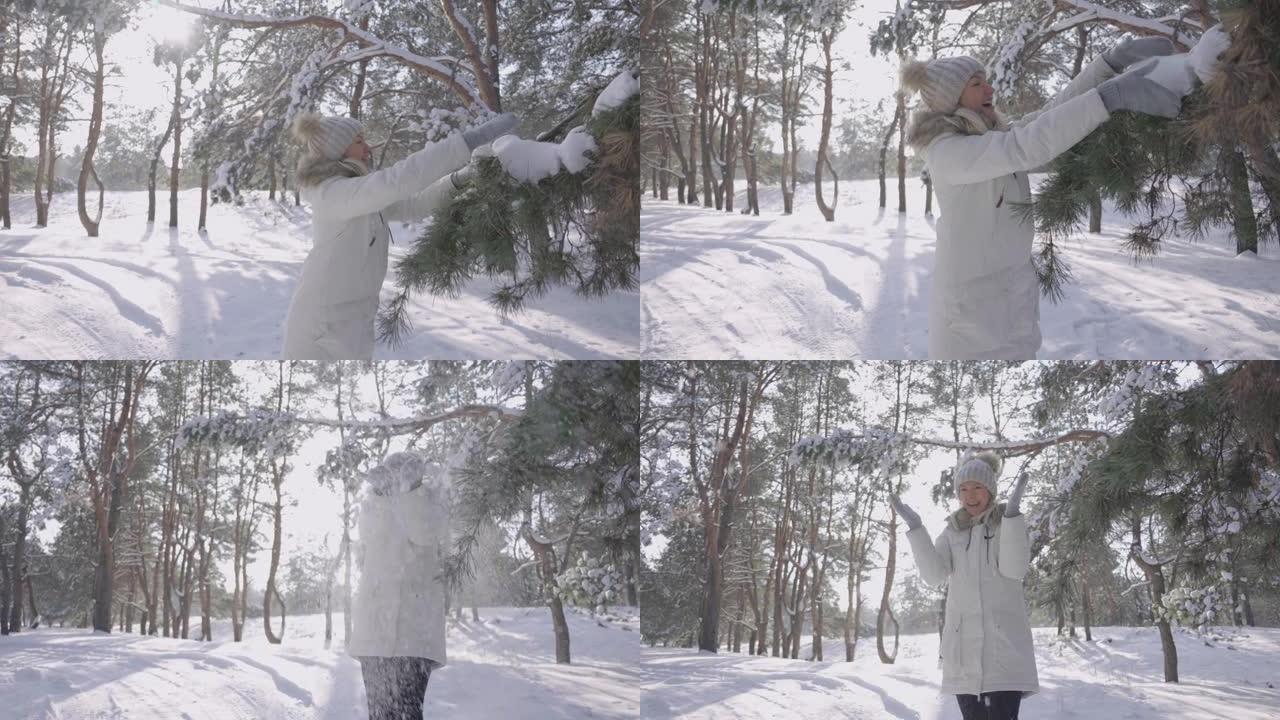 穿着冬衣和帽子的可爱女孩抚摸着白雪覆盖的松树枝，开心地微笑着。松树上的雪。晴天在冬天的白雪皑皑的森林