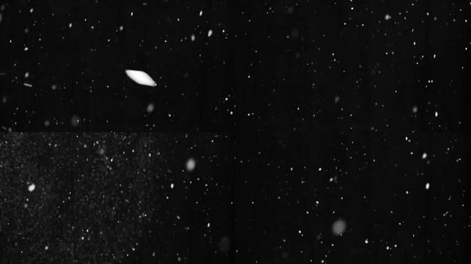 自然真实的雪镜头在黑色背景上隔离，用于叠加效果。