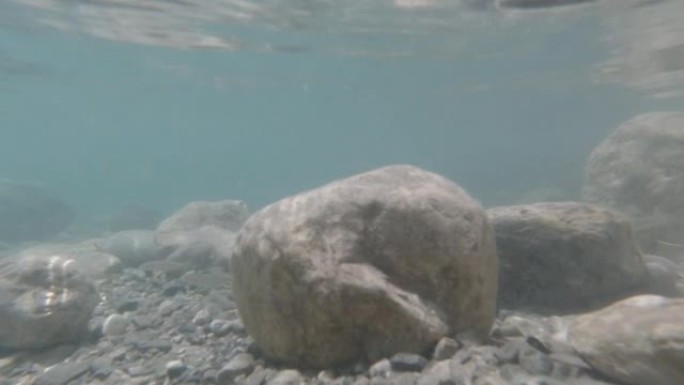 水下绿松石湖里的鱼