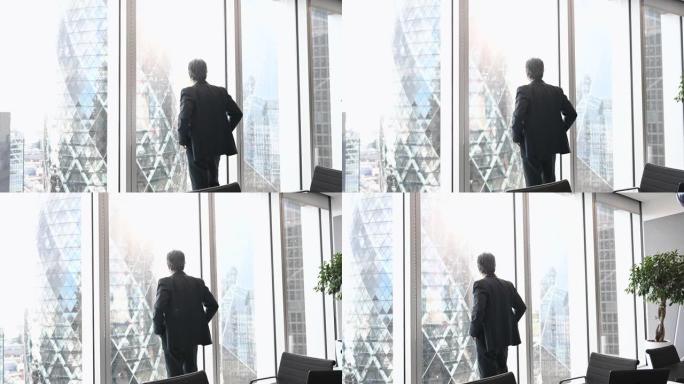 一位沉思的男金融家站在会议室的窗口