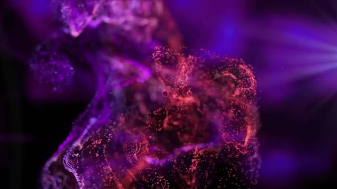 黑色背景上的红色和粉红色颗粒在紫色灯光下移动的动画