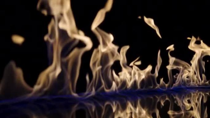 黑色反光背景上的易燃液体或汽油污渍闪烁并点燃。一场大火，燃烧的舌头在蓝光中燃烧，特写，慢动作。燃烧火