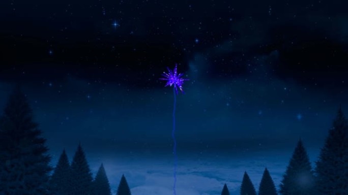 紫色圣诞节和新年烟花在夜空中的树木上爆炸的动画