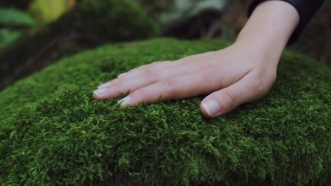 年轻女子在森林中的石头上触摸绿色苔藓