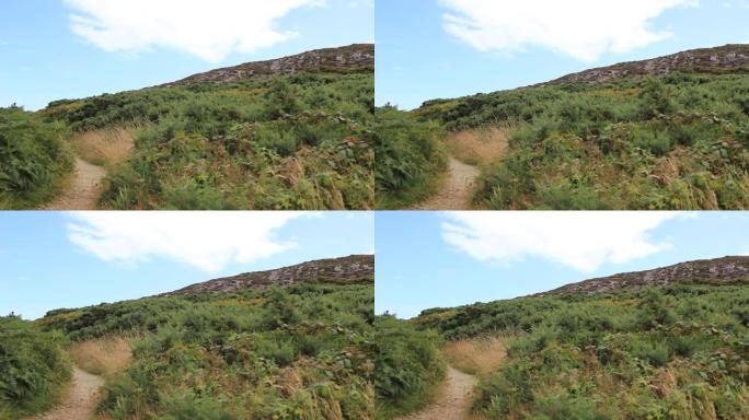 爱尔兰海岸的石岩山徒步旅行路径。布雷，灰石