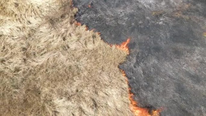 旱季红火燃烧的草地鸟瞰图。自然灾害与气候变化概念
