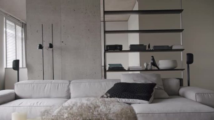 真正的现代公寓，客厅简约家具设计，混凝土