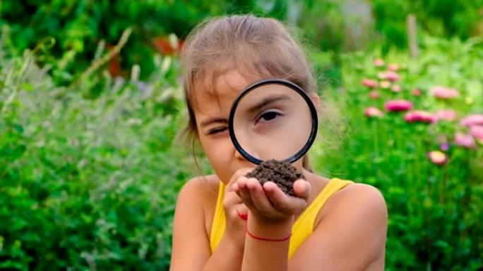 孩子用放大镜研究土壤。选择性聚焦。孩子。