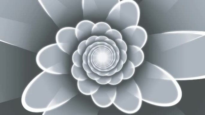 单色花卉螺旋循环动画背景