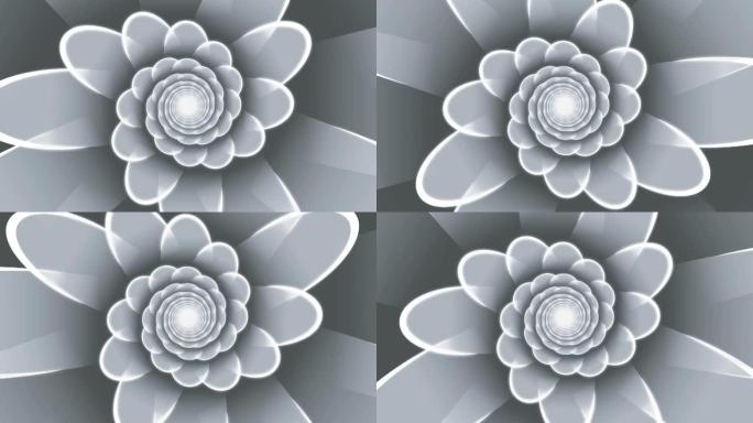 单色花卉螺旋循环动画背景