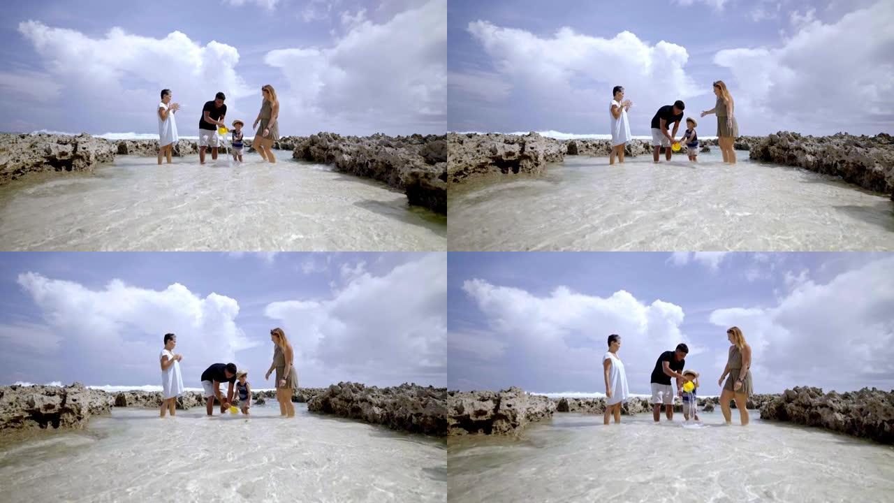 多代家庭在海滩上在水中玩耍