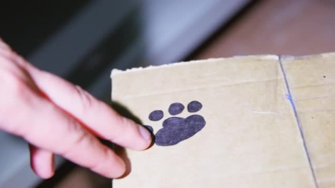 人们在黑暗中发现了一个纸板箱，其表面涂有狗爪的脚印，用手电筒突出显示，特写。人小心地用手指触摸脚印