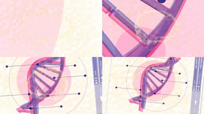 人脑在dna链上的动画