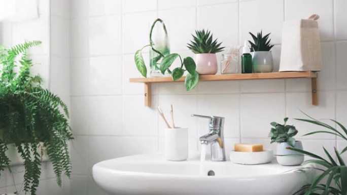 带竹架和植物的现代白色浴室