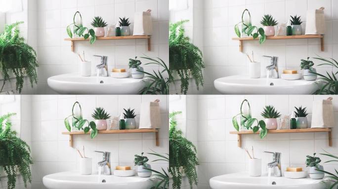 带竹架和植物的现代白色浴室