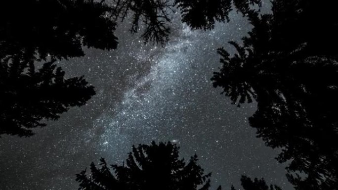 银河星系的魔法之美在黑暗的森林自然中转动，仰望宇宙天文学时光流逝4K
