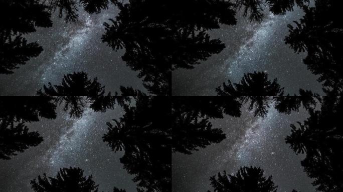 银河星系的魔法之美在黑暗的森林自然中转动，仰望宇宙天文学时光流逝4K