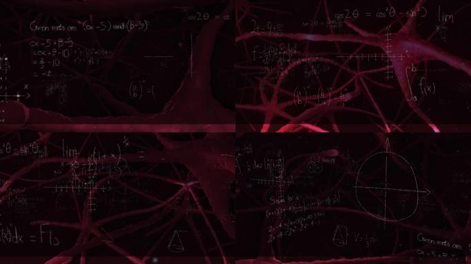 黑色板上数学方程式上的神经连接动画