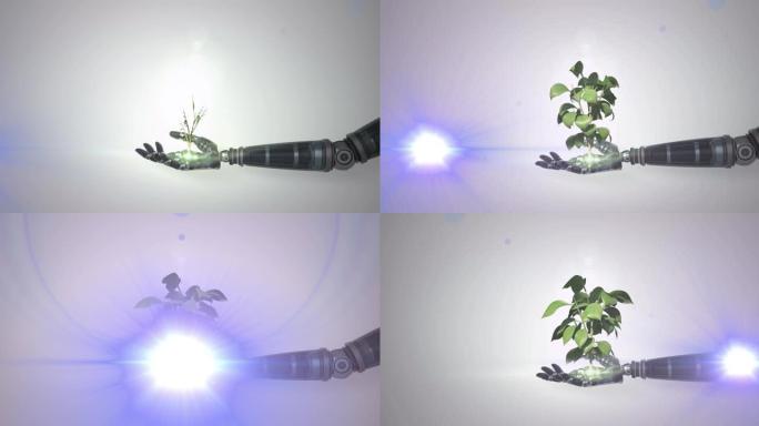 扩展机器人手臂手中的植物生长动画，并在灰色背景上移动灯光