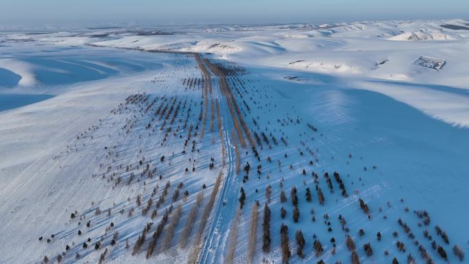 航拍雪原道路树木视频素材