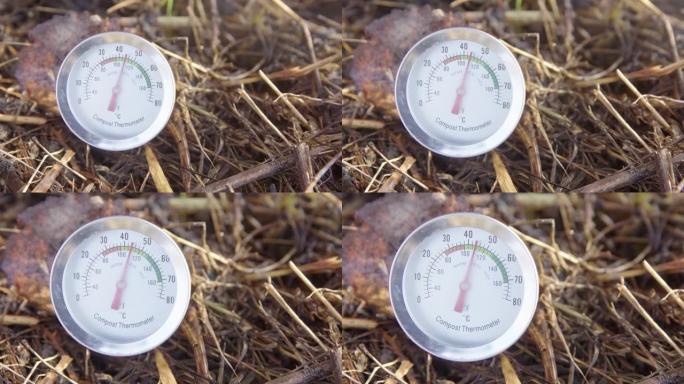放大，特写堆肥温度计显示理想的堆肥温度