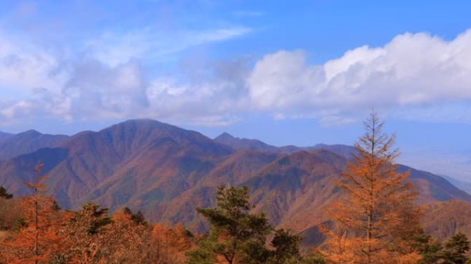 山上的秋树和山脉视频素材国外外国秋季景色