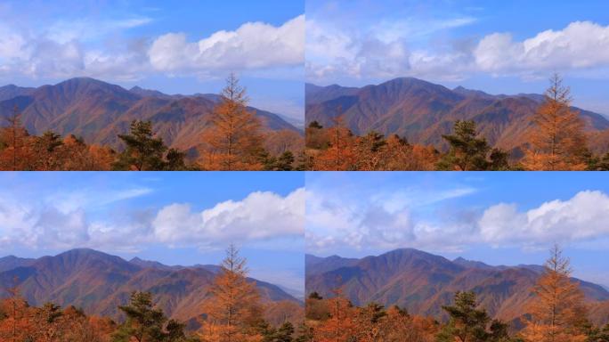 山上的秋树和山脉视频素材国外外国秋季景色
