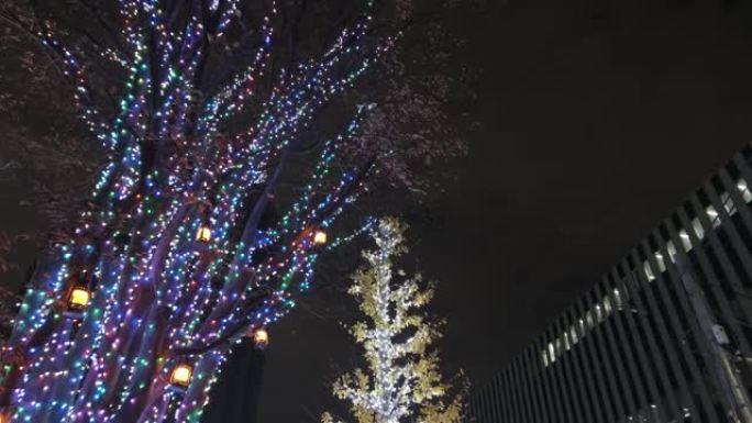 东京东21冬季照明2021