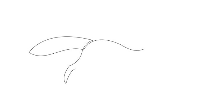 跑步松鼠单连续线条画的动画自画。公司标志标识。公司图标概念从花栗鼠动物形状。全长一行动画插图。