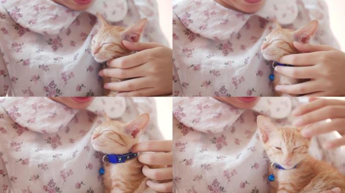 亚洲女人在新家拥抱和亲吻小猫。收养流浪猫的概念要有一个爱并能照顾他们的新主人。4k慢动作。