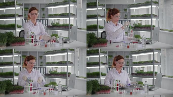 生物实验室，女实验室助理通过视频链接与笔记本电脑上的微生物学家交流，并讨论温室货架背景下的基因工程研
