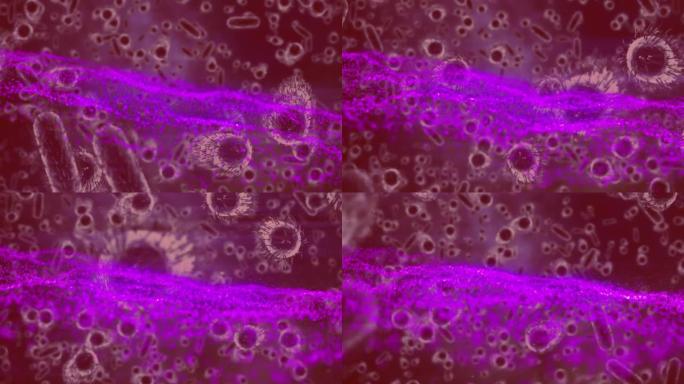 红色背景上移动细胞上的紫色波动画