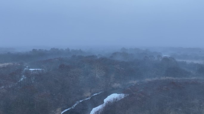 暮春风雪中的湿地景观
