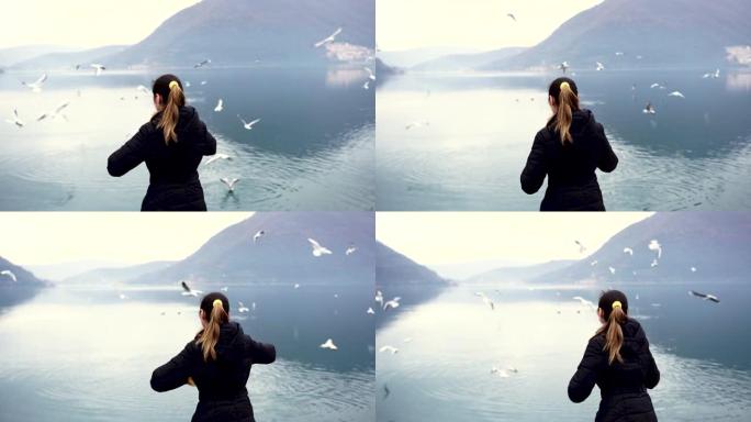 女孩在佩拉斯特海岸喂海鸥