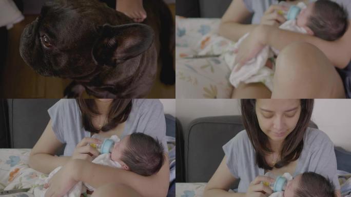 慢动作亚洲妈妈在家中的沙发上用奶瓶喂养婴儿。