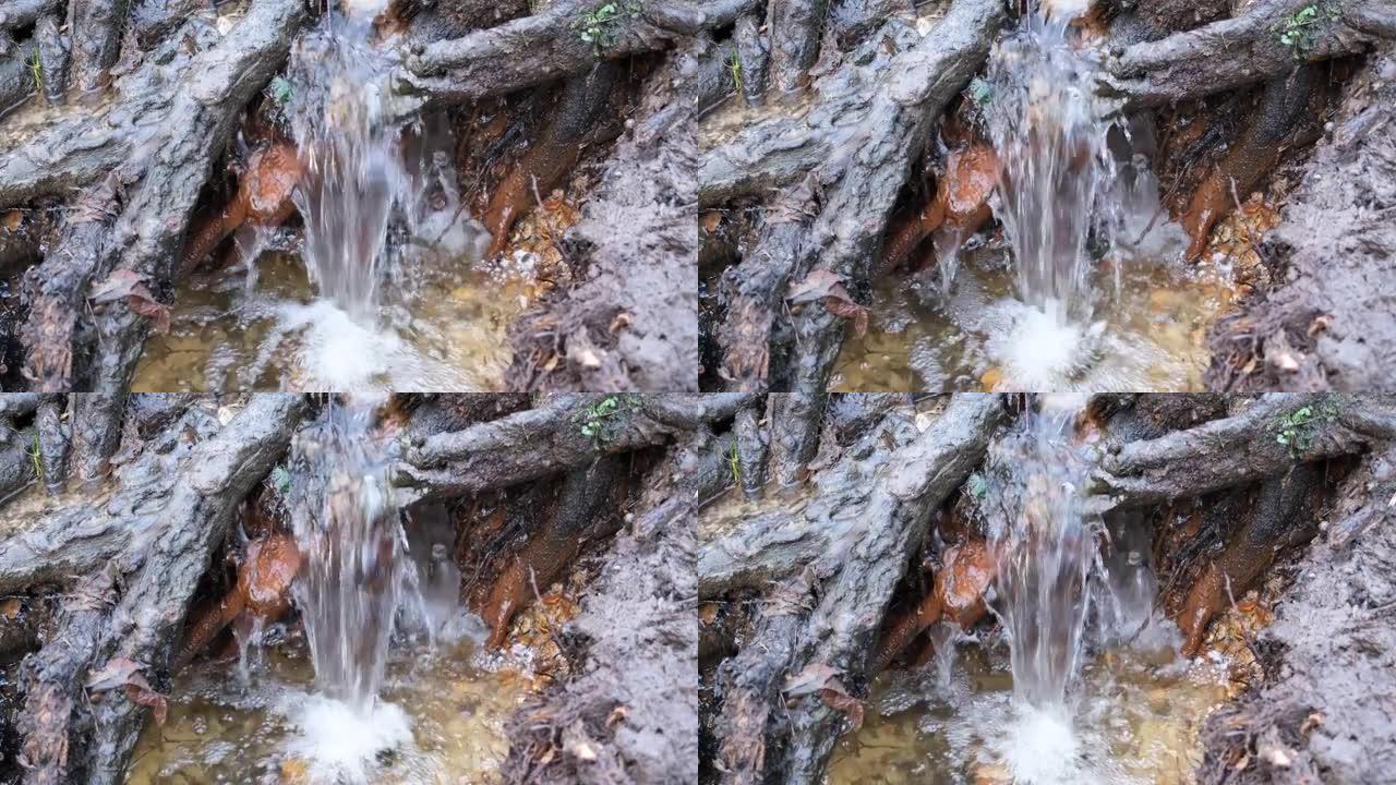 淡水溪流像岩石和树根一样迅速层叠瀑布。埃塞克斯古诺里西伍德