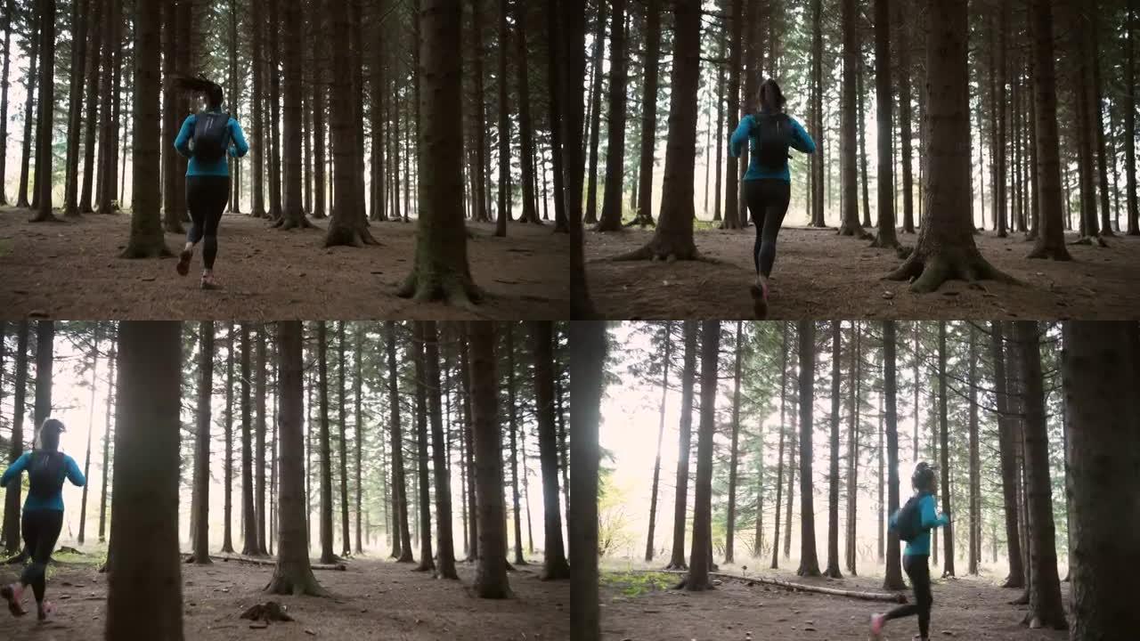 穿着运动服，穿越森林的女子越野跑者