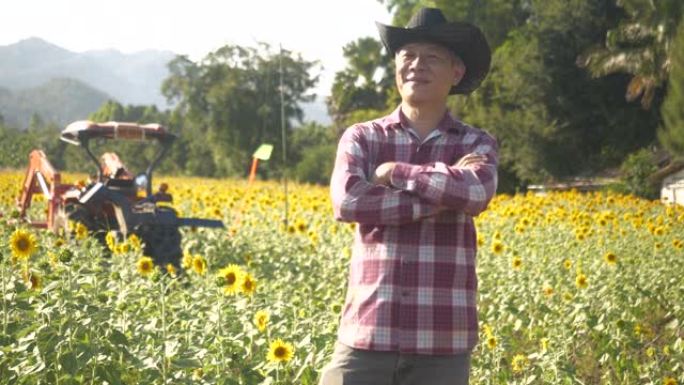 亚洲农民老板小企业在向日葵种植园检查向日葵树。成功男子农夫看着相机微笑的肖像，