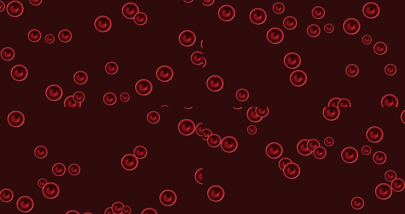 动画红血球移动在黑暗的背景