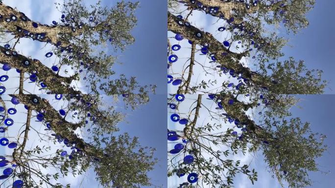 在阳光明媚的日子里，橄榄树上装饰着蓝色邪恶的眼睛珠子，衬着美丽的天空，祈求好运或防止坏的想法