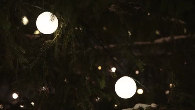爱沙尼亚树上的圣诞灯球
