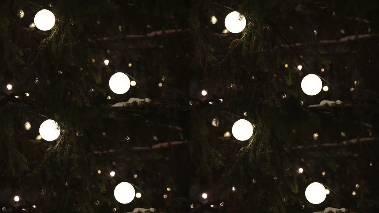 爱沙尼亚树上的圣诞灯球
