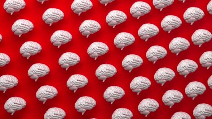 真正的白色人脑大脑内部器官模型无缝循环动画红色背景，神经系统和精神卫生概念，力量思维和逻辑思维3d渲