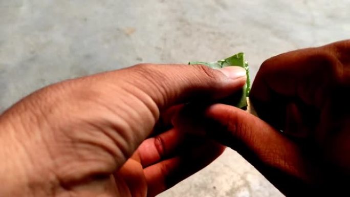 用手中的刀切开芦荟植物并提取汁液