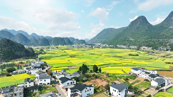 万峰林油菜花航拍